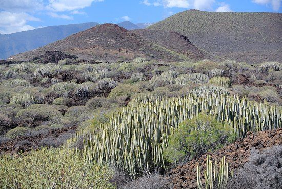 la Reserva Natural Especial del Malpaís de Güímar