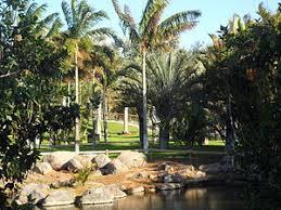 Palmetum Santa Cruz Jardín Botánico