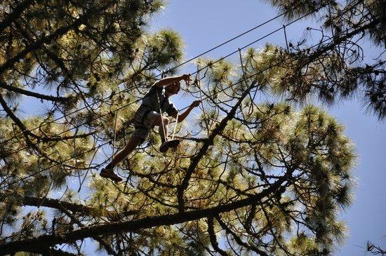 Forestal Park Tenerife