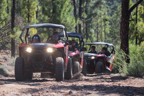 Buggy Safari