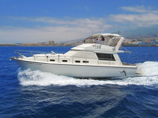 Tambo Excursions
